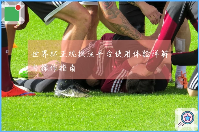 世界杯正规投注平台使用体验详解与操作指南