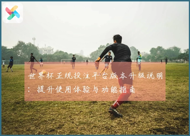世界杯正规投注平台版本升级说明：提升使用体验与功能指南