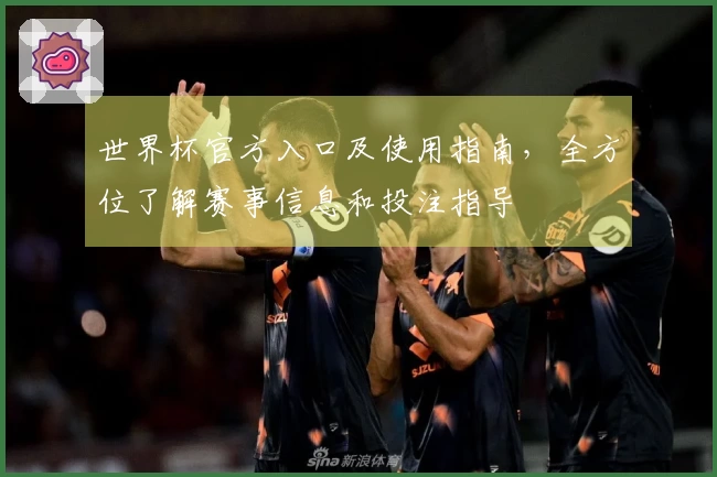 世界杯官方入口及使用指南，全方位了解赛事信息和投注指导