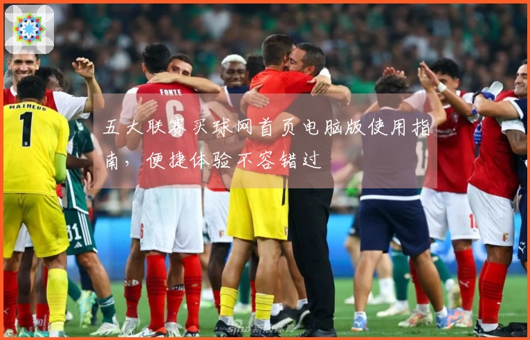 五大联赛买球网首页电脑版使用指南,便捷体验不容错过