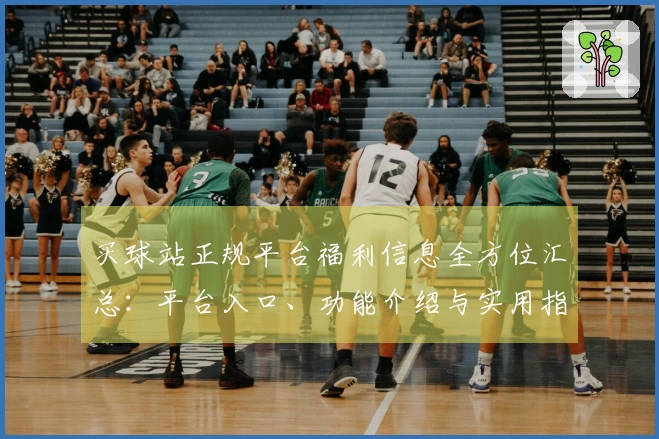 买球站正规平台福利信息全方位汇总：平台入口、功能介绍与实用指南