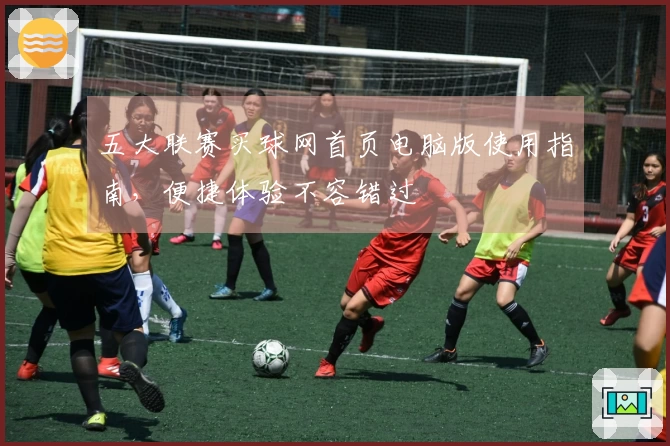 五大联赛买球网首页电脑版使用指南，便捷体验不容错过