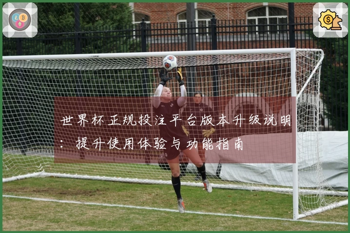 世界杯正规投注平台版本升级说明：提升使用体验与功能指南